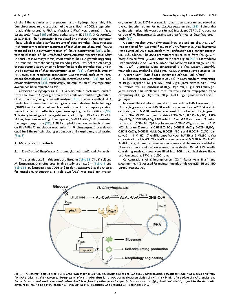 Shuang ZhengA self-stimulating system based on a polyhydroxyalkanoates coupled Page2