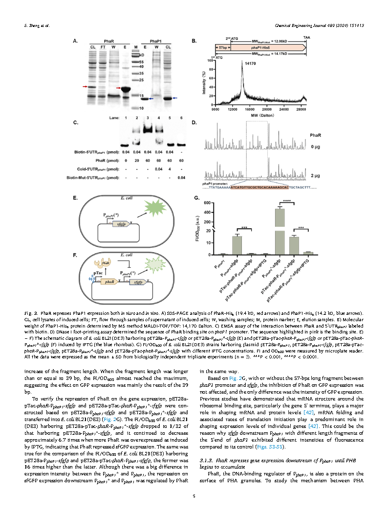 Shuang ZhengA self-stimulating system based on a polyhydroxyalkanoates coupled Page5