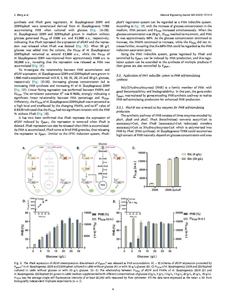 Shuang ZhengA self-stimulating system based on a polyhydroxyalkanoates coupled Page6