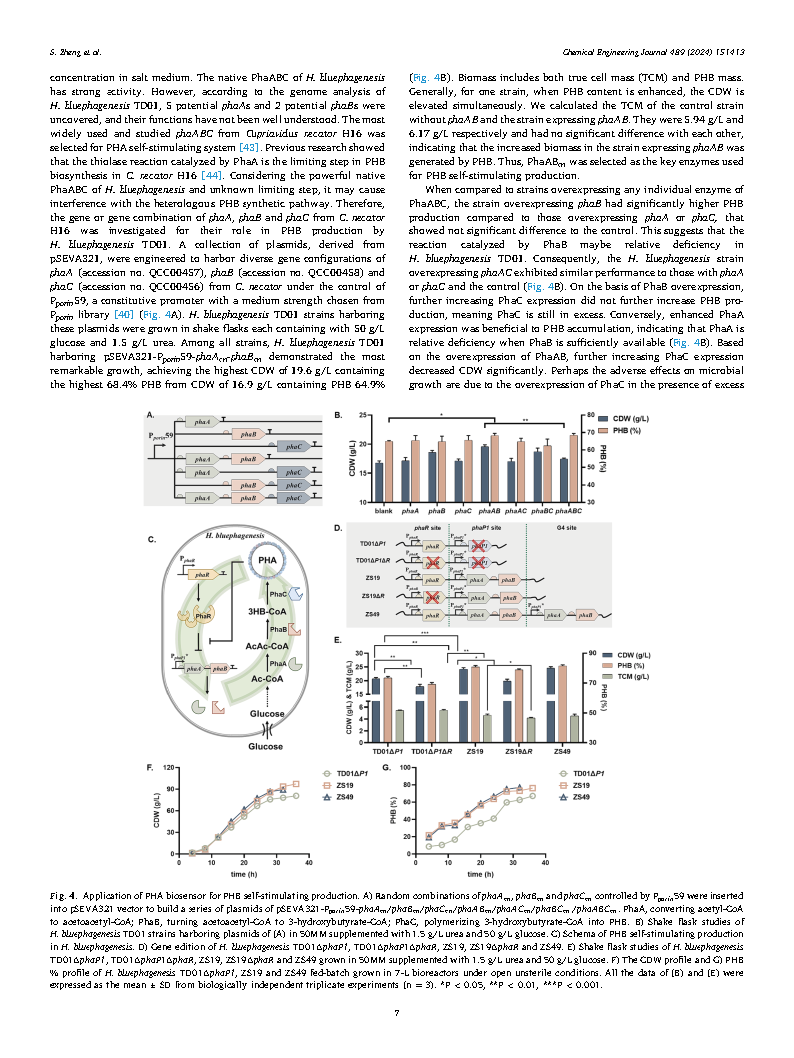 Shuang ZhengA self-stimulating system based on a polyhydroxyalkanoates coupled Page7
