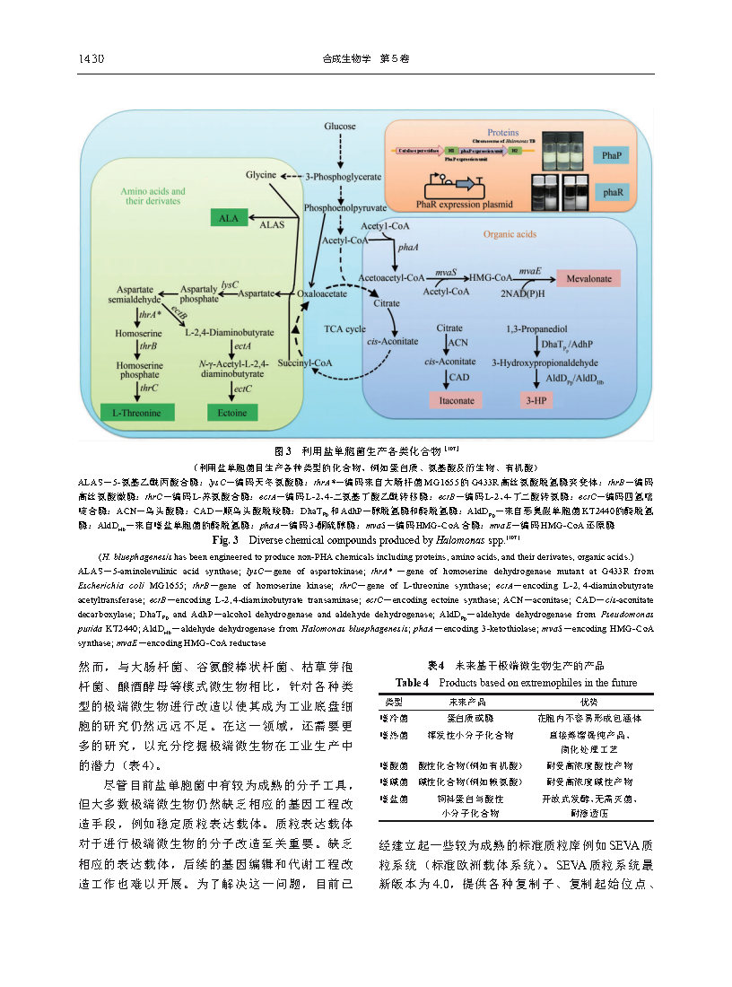 Mingwei ShaoBioproduction based on extremophiles Page12