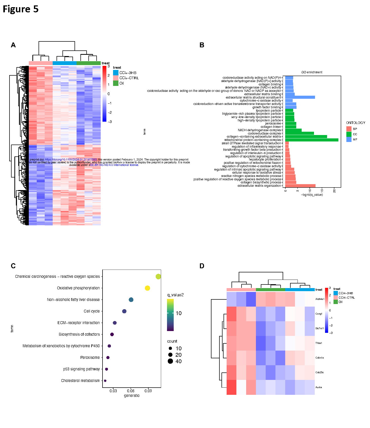 Yudian ZhangKetone body 3-hydroxybutyrate alleviates CCl4-induced liver fibrosis in Page16