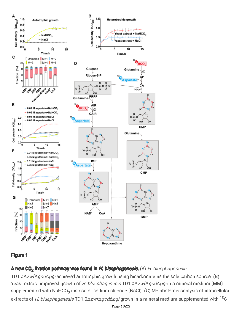 Guoqiang ChenA new autotrophic CO2 fixation pathway in Halomonas linked to nucleotide synthesis Page16