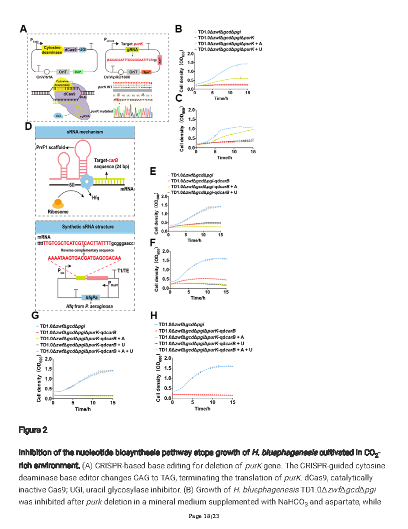 Guoqiang ChenA new autotrophic CO2 fixation pathway in Halomonas linked to nucleotide synthesis Page18