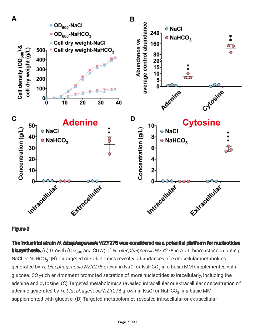 Guoqiang ChenA new autotrophic CO2 fixation pathway in Halomonas linked to nucleotide synthesis Page20
