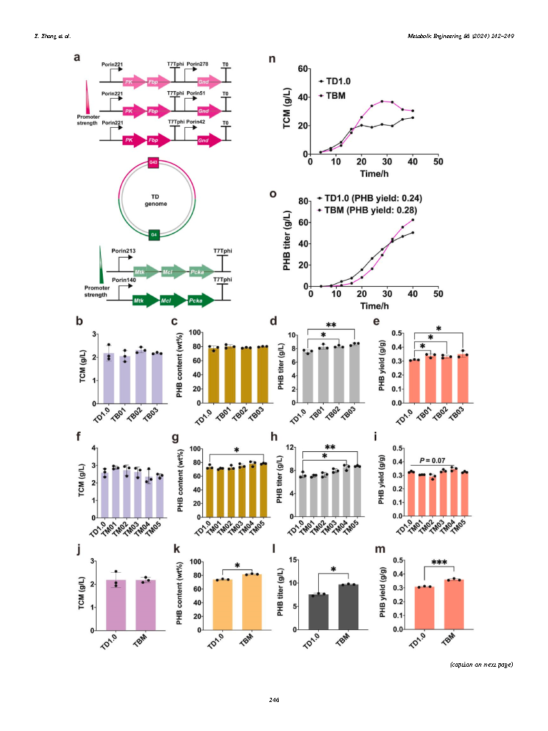 Zhongnan ZhangEngineering Halomonas bluephagenesis for synthesis of polyhydroxybutyrate Page5
