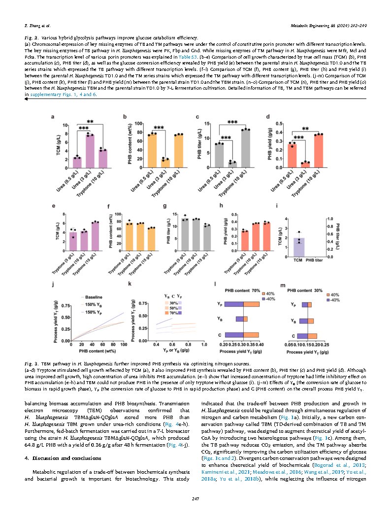 Zhongnan ZhangEngineering Halomonas bluephagenesis for synthesis of polyhydroxybutyrate Page6
