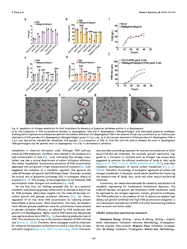 Zhongnan ZhangEngineering Halomonas bluephagenesis for synthesis of polyhydroxybutyrate Page7