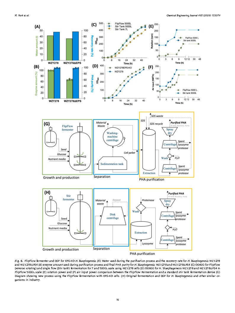Helen ParkEngineering EPS in Halomonas bluephagenesis leads to self-flocculation and filamentation for convenient downstream processing Page10