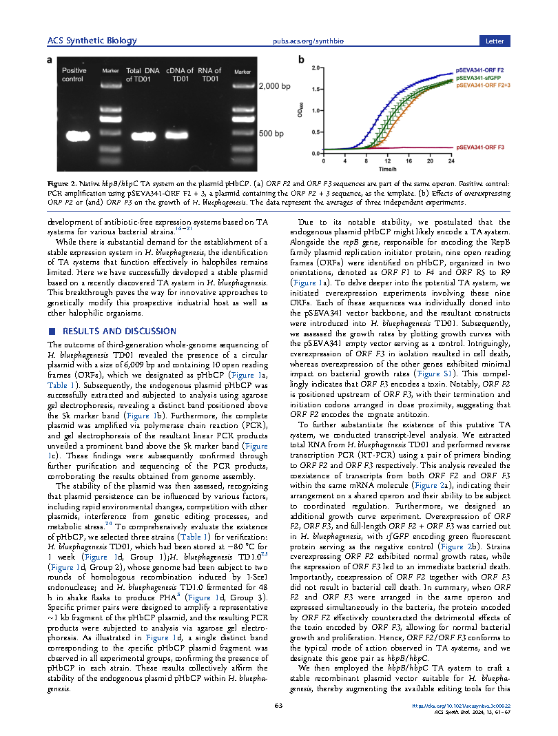 Kang RenConstruction of a Stable Expression System Based on the Page3