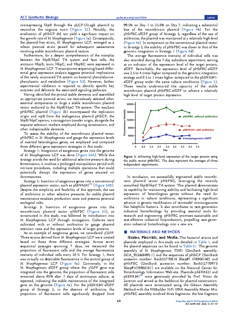 Kang RenConstruction of a Stable Expression System Based on the Page5