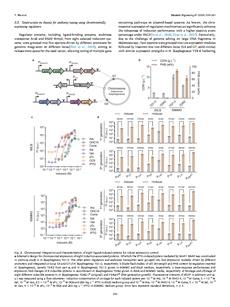 Yueyuan MaFlux optimization using multiple promoters Page6