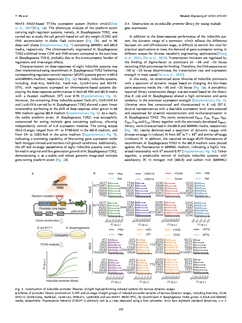 Yueyuan MaFlux optimization using multiple promoters Page7