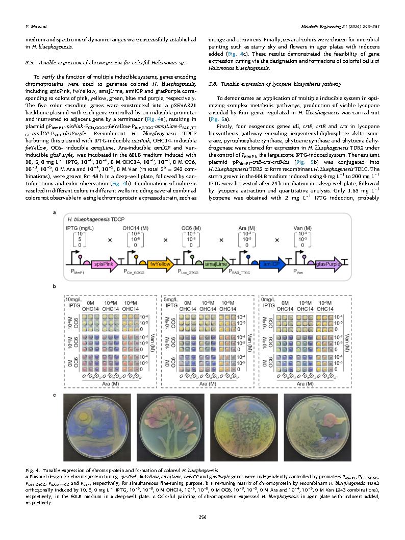 Yueyuan MaFlux optimization using multiple promoters Page8