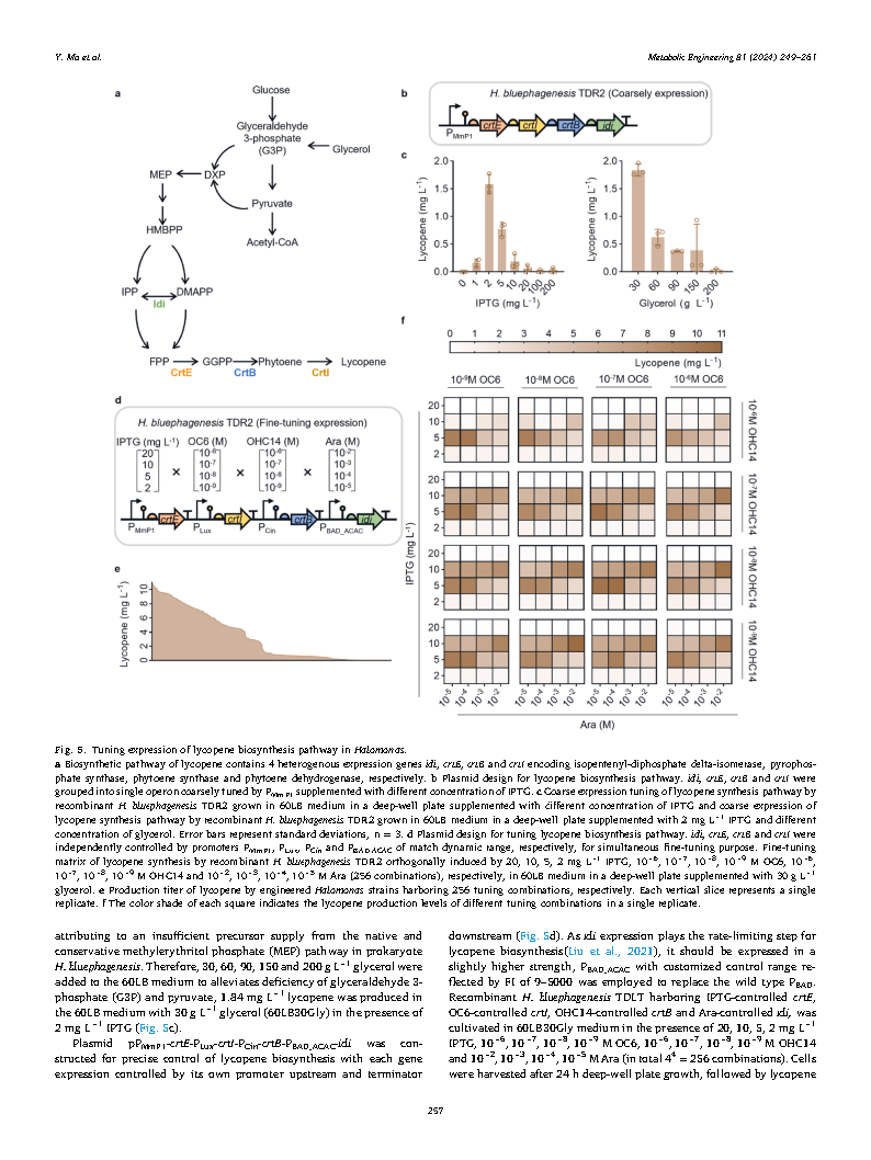 Yueyuan MaFlux optimization using multiple promoters Page9