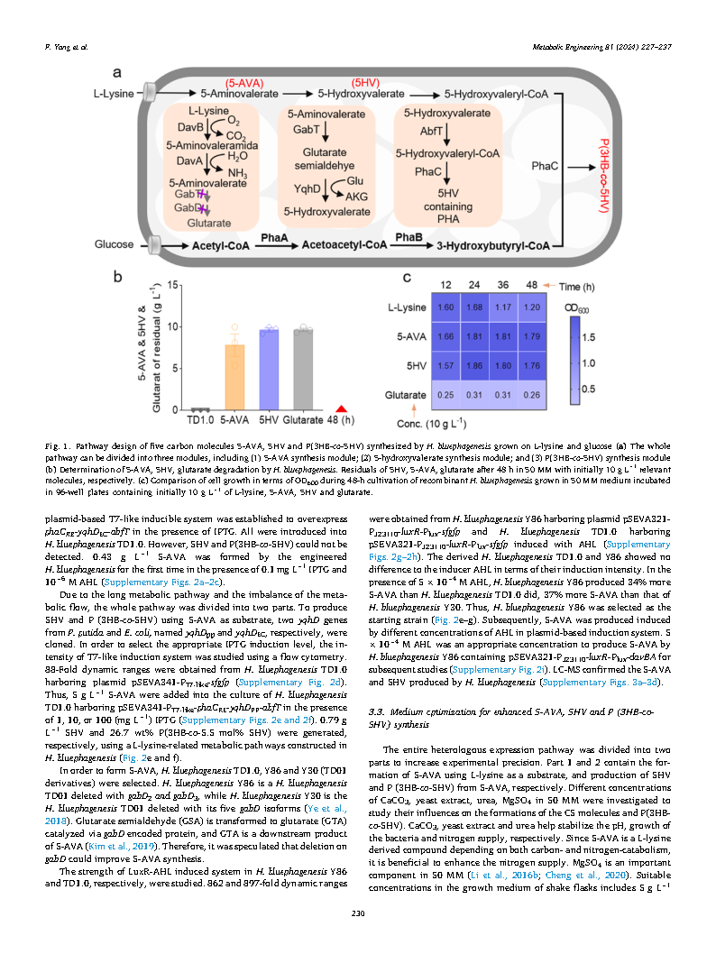 Fang YangMetabolic engineering of Halomonas bluephagenesis for production of five Page4
