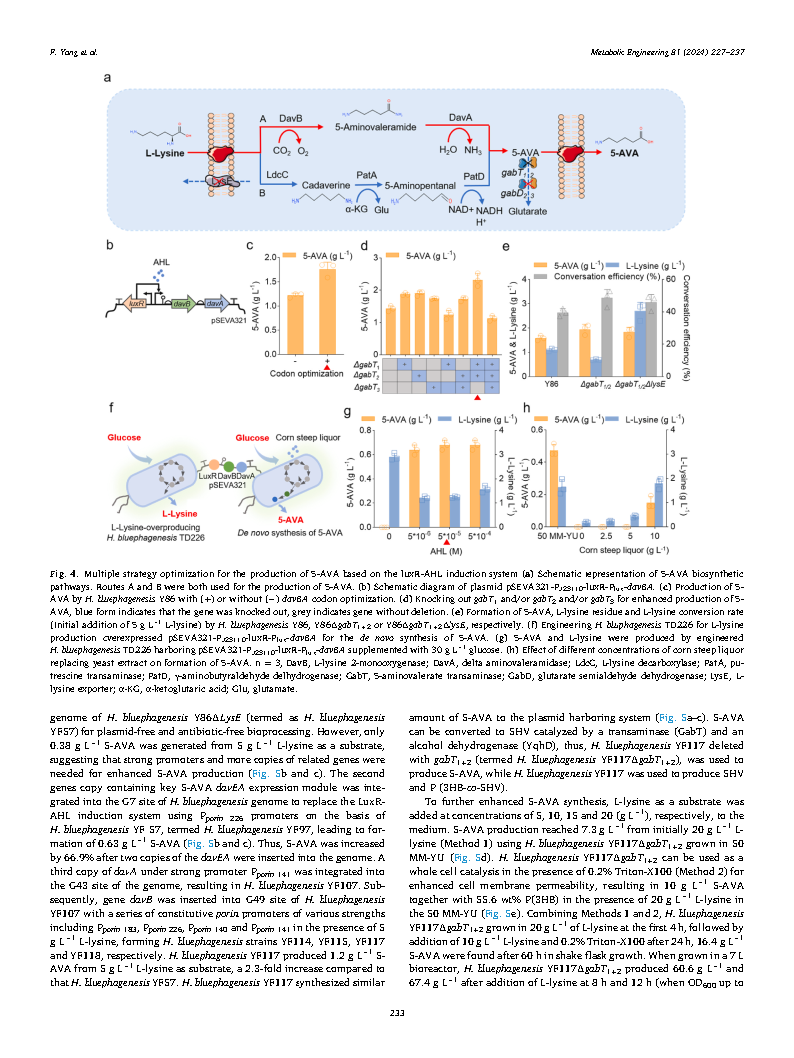Fang YangMetabolic engineering of Halomonas bluephagenesis for production of five Page7