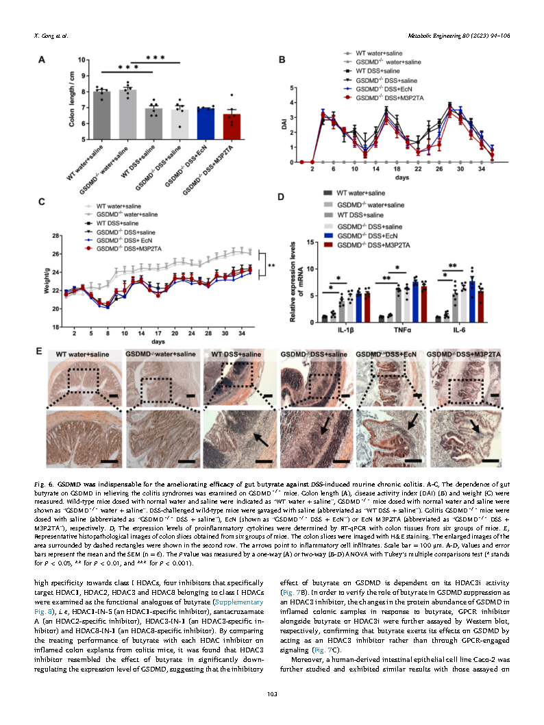 Xu GongMetabolic engineering of commensal bacteria for gut butyrate delivery  Page10