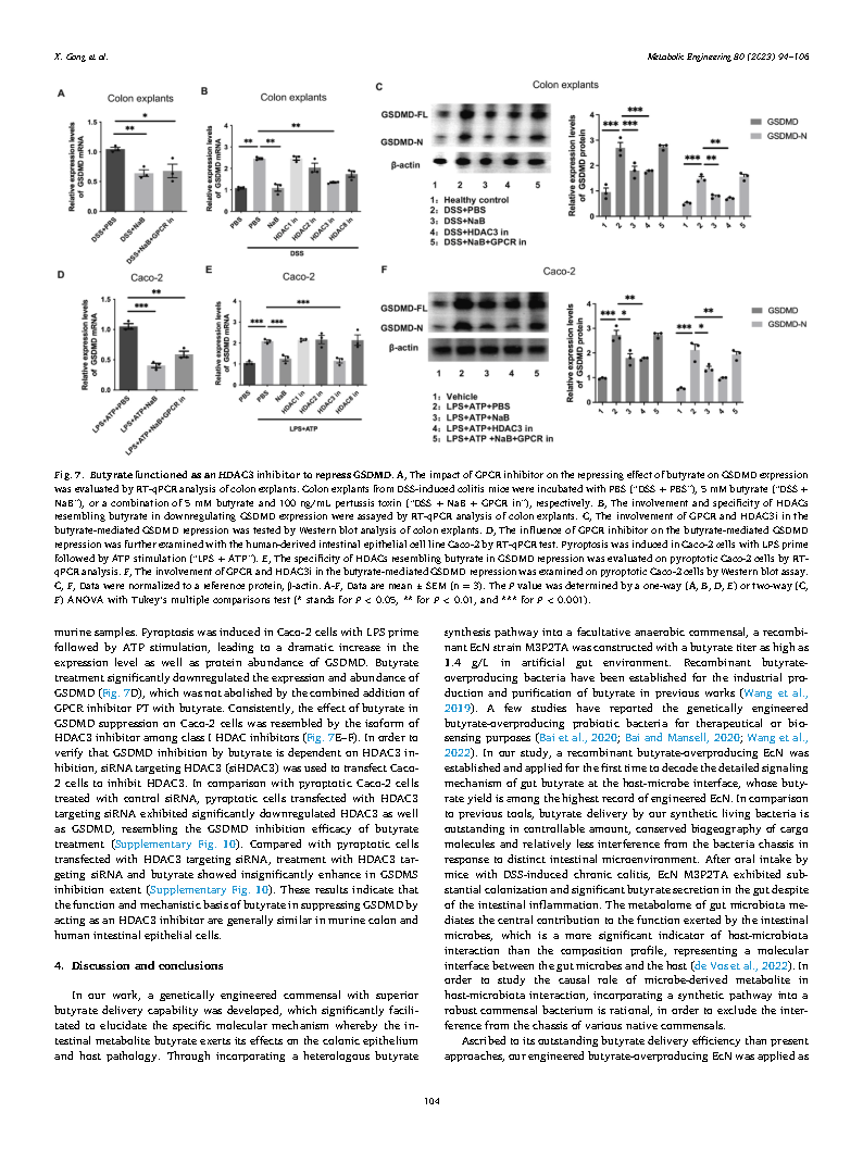 Xu GongMetabolic engineering of commensal bacteria for gut butyrate delivery  Page11