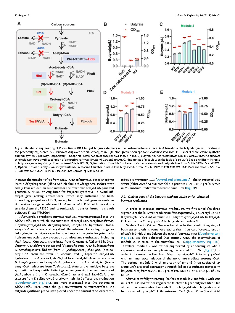Xu GongMetabolic engineering of commensal bacteria for gut butyrate delivery  Page5