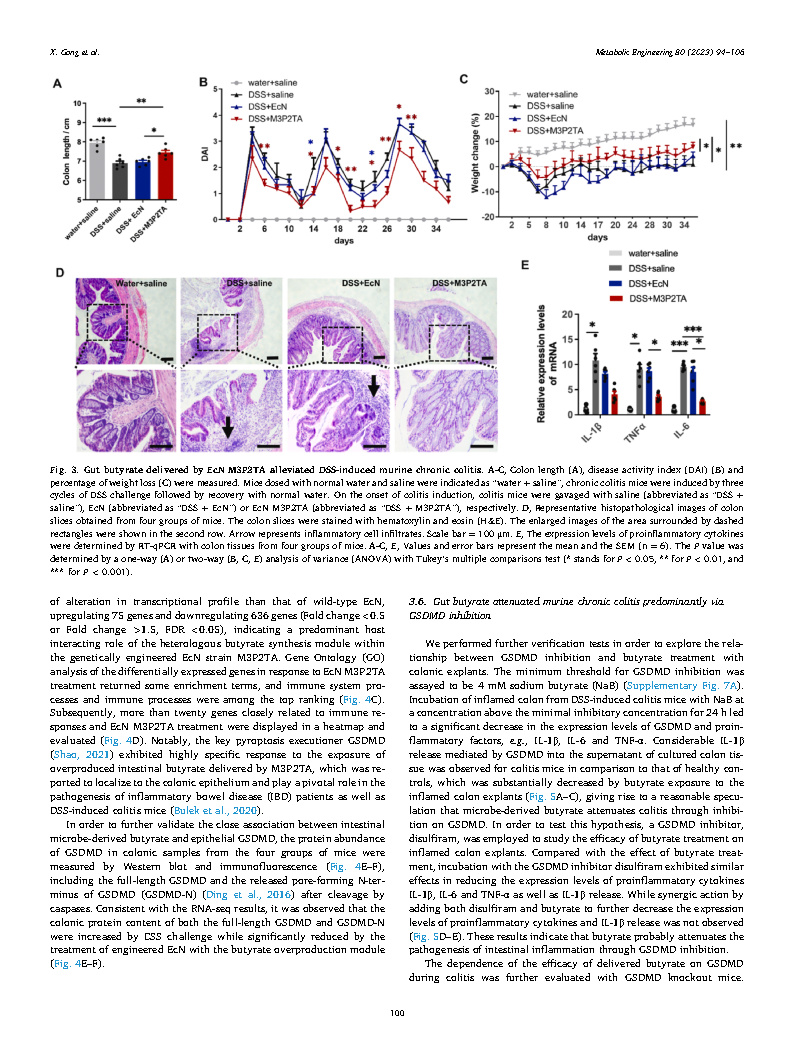 Xu GongMetabolic engineering of commensal bacteria for gut butyrate delivery  Page7