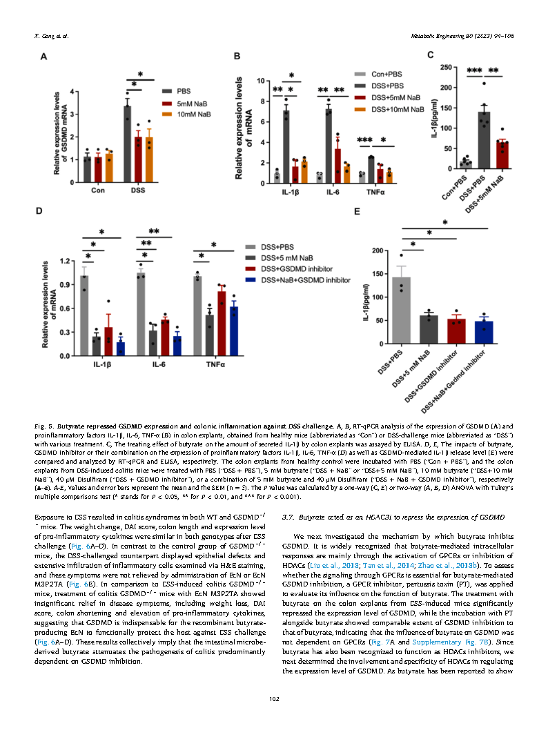 Xu GongMetabolic engineering of commensal bacteria for gut butyrate delivery  Page9