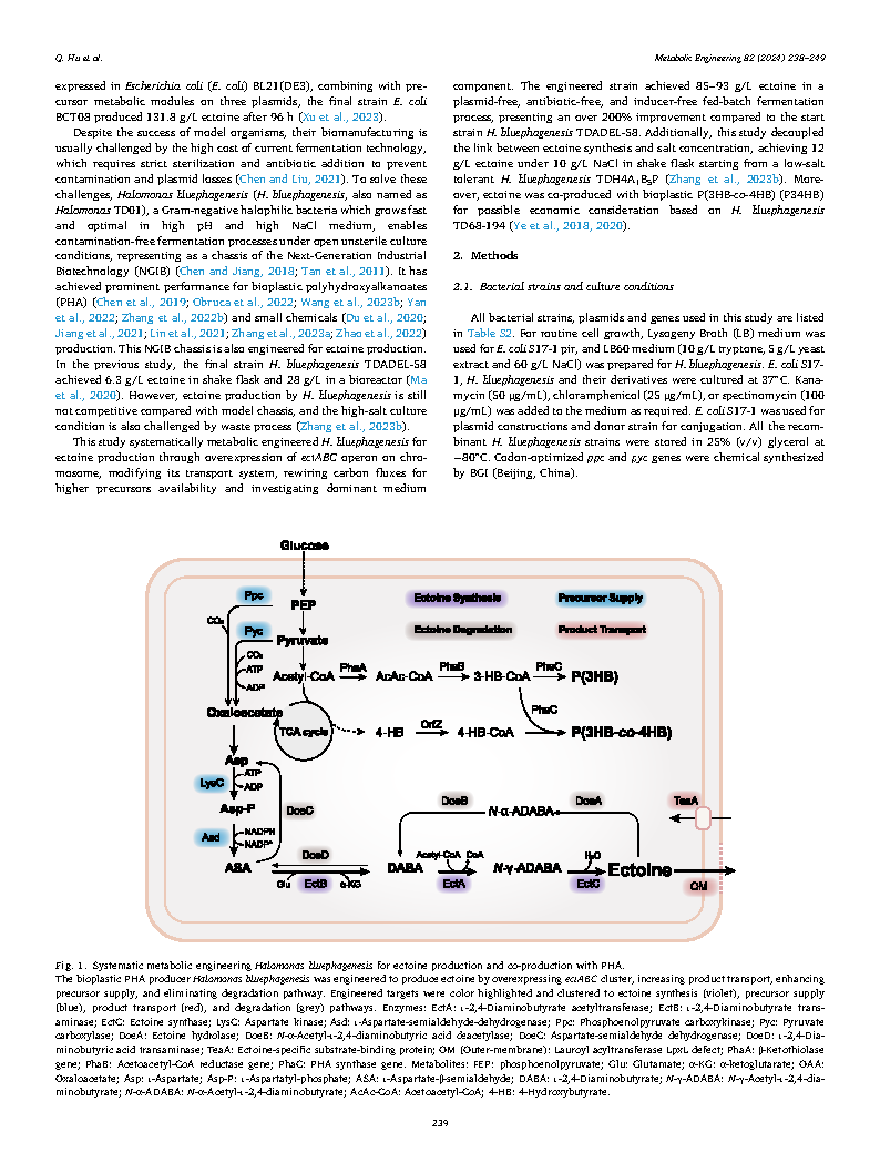 Qitiao HuEctoine hyperproduction by engineered Halomonas bluephagenesis Page2