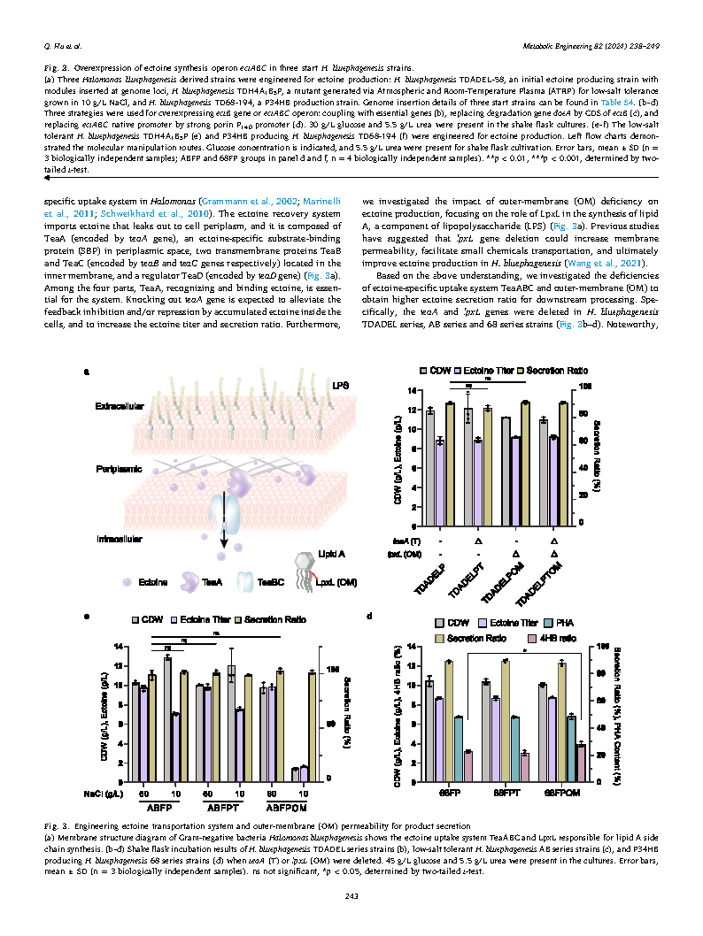 Qitiao HuEctoine hyperproduction by engineered Halomonas bluephagenesis Page6