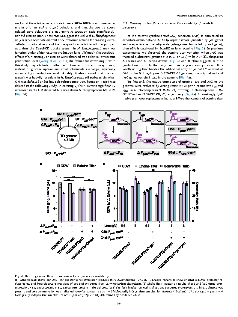 Qitiao HuEctoine hyperproduction by engineered Halomonas bluephagenesis Page7