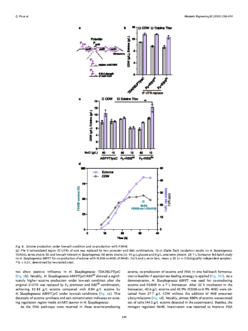 Qitiao HuEctoine hyperproduction by engineered Halomonas bluephagenesis Page9