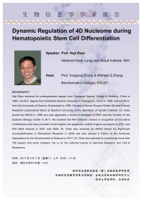 2017-03-07:Dynamic Regulation of 4D Nucleome during Hematopoietic Stem Cell Differentiation